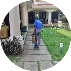 Best pest control services in coimbatore